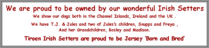 Text Box: We are proud to be owned by our wonderful Irish SettersWe show our dogs both in the Channel Islands, Ireland and the UK .We have T.J. & Jules and two of Jules’s children, Snupps and Freya ,And her Grandchildren, Bosley and Madison.Tiroen Irish Setters are proud to be Jersey ‘Born and Bred’